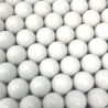 BIO RACCOON SELECT BBS BIO 0.40 1/2KG