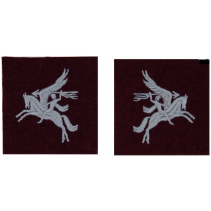 Pegasus sleeve patches - pair - repro