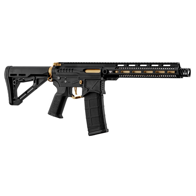 R15 mod 1 AEG Zion Arms NEGRA Y ORO GUARDA MANOS LARGO