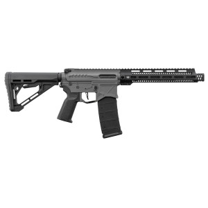 R15 mod 1 AEG Zion Arms GRIS GUARDA MANOS LARGO