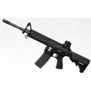 FUSIL DE ASALTO M4 AEG CM16 Raider-L G&G...